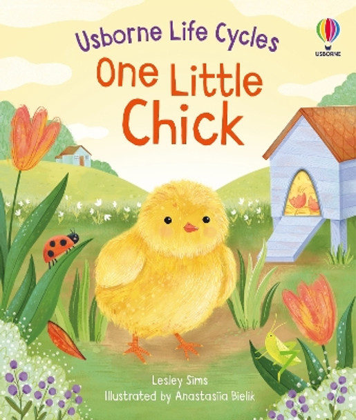 One Little Chick by Lesley Sims 9781805312253