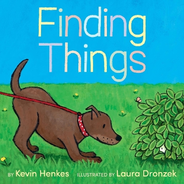 Finding Things by Kevin Henkes 9780063245662