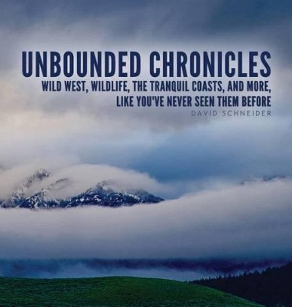 Unbounded Chronicles (Hardcover) by David Schneider 9780983896739