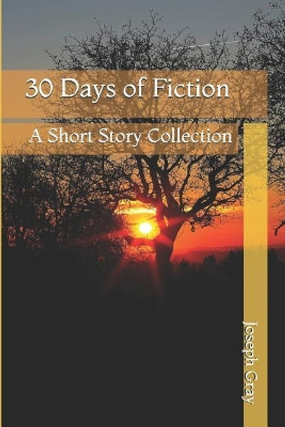 30 Days of Fiction: A Short Story Collection by Joseph Gray 9781091727090