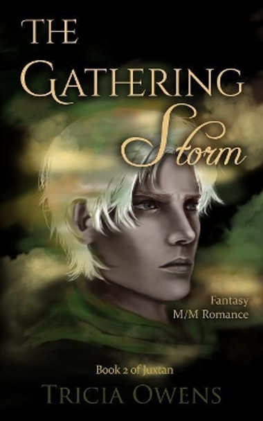 The Gathering Storm: Fantasy M/M Romance by Tricia Owens 9781092177894