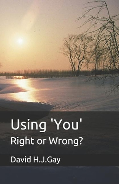 Using 'You': Right or Wrong? by David H J Gay 9781094635781