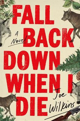 Fall Back Down When I Die by Joe Wilkins