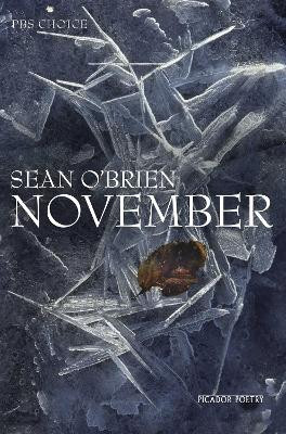 November by Sean O'Brien