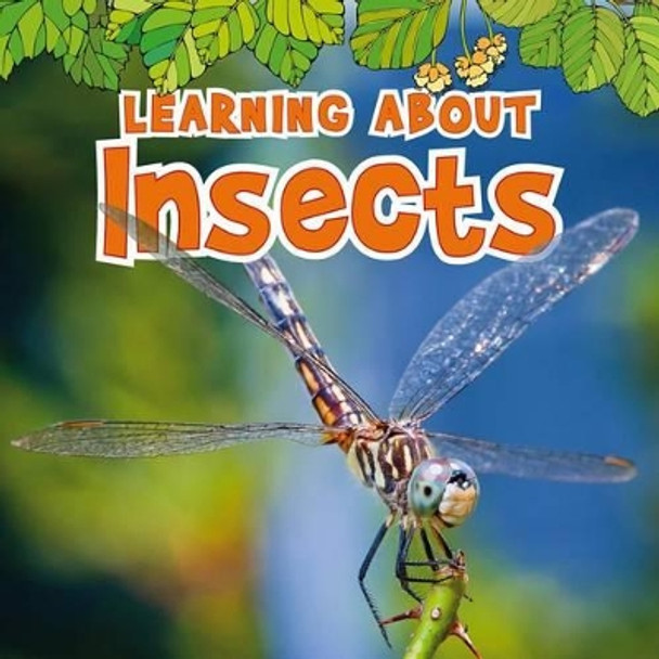 Learning about Insects by Catherine Veitch 9781410954084