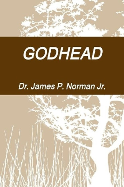 Godhead by James P Norman, Jr 9781387524136