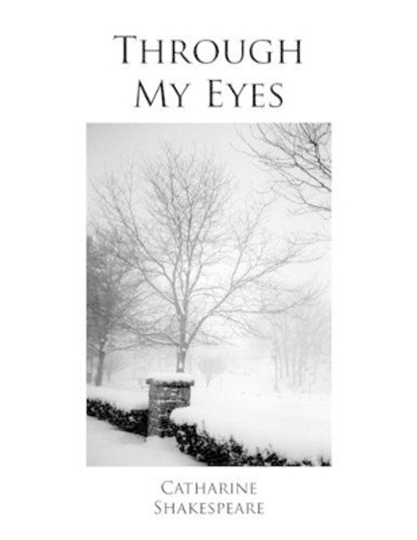 Through My Eyes by Catharine Shakespeare 9781436325721