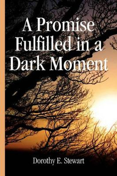 A Promise Fulfilled in a Dark Moment by Dorothy E Stewart 9781450025393