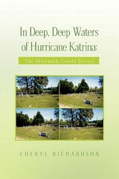 In Deep, Deep Waters of Hurricane Katrina by Cheryl Richardson 9781441534552