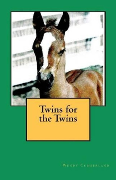 Twins for the Twins by Wendy Cumberland 9781460915394