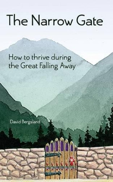 The Narrow Gate by David Bergsland 9781478232797