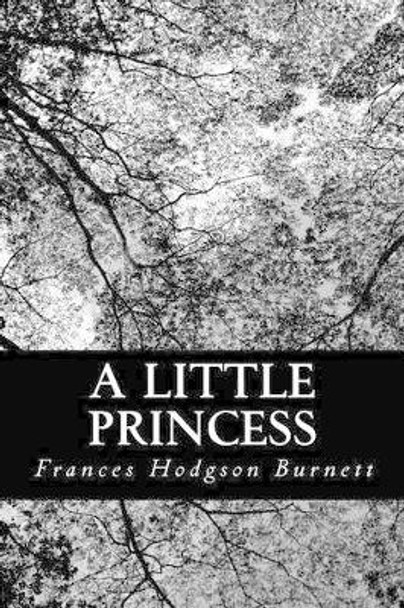 A Little Princess by Frances Hodgson Burnett 9781478307297