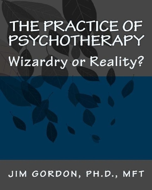 The Practice of Psychotherapy: Wizardry or Reality? by Jim Gordon Ph D 9781453813683