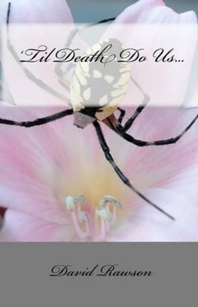 'Til Death Do Us... by David Rawson 9781453871171