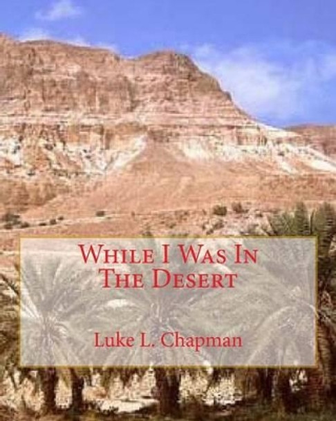 While I Was In The Desert by Shirley M Chapman 9781460908617