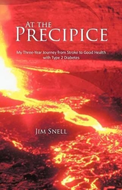 At the Precipice: My Three-Year Journey from Stroke to Good Health with Type 2 Diabetes by Jim Snell 9781462034567