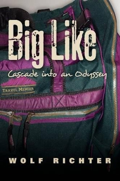 Big Like: Cascade into an Odyssey by Wolf Richter 9781467967495