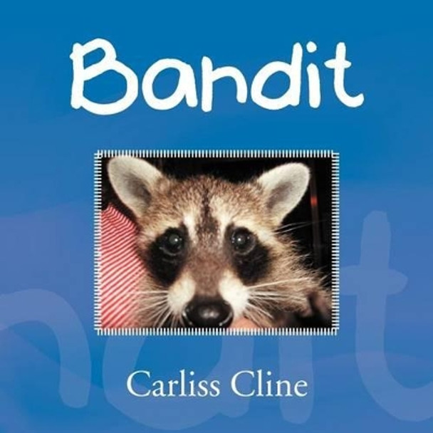 Bandit by Carliss Cline 9781469165431