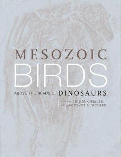 Mesozoic Birds: Above the Heads of Dinosaurs by Luis M. Chiappe