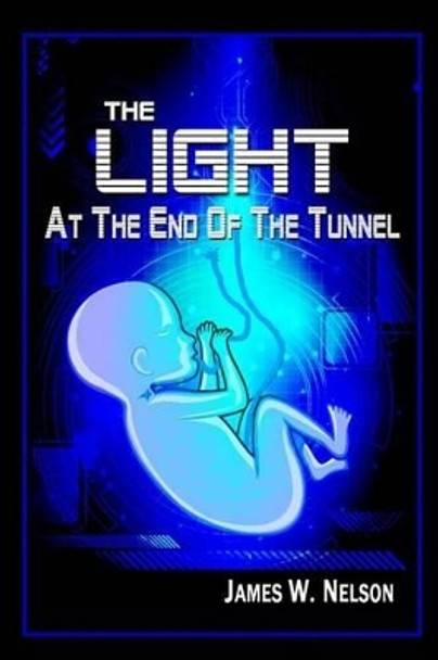 The Light at the End of the Tunnel: One Theory of Reincarnation by James W Nelson 9781469952659