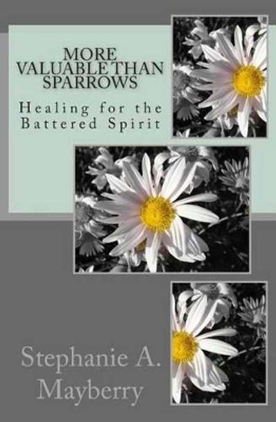 More Valuable than Sparrows: Healing for the Battered Spirit by Stephanie a Mayberry 9781469990880