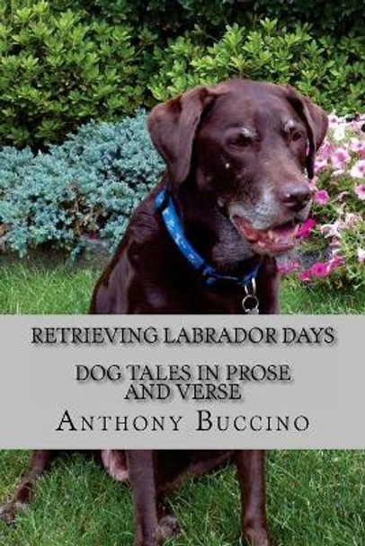 Retrieving Labrador Days: Dog tales in prose and verse by Anthony Buccino 9781475100679