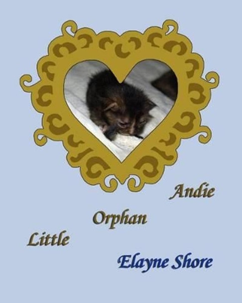 Little Orphan Andie by Elayne Shore 9781492865094