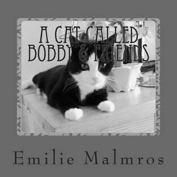 A Cat Called Bobby & Friends: He Came One Rainy Day... by Emilie Malmros 9781493582808