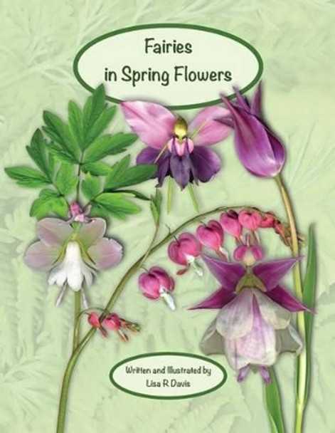 Fairies in Spring Flowers by Lisa R Davis 9781493593064