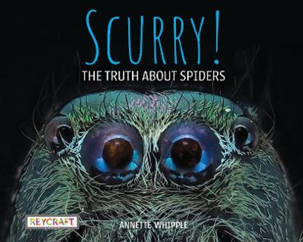 Scurry! the Truth about Spiders by Annette Whipple 9781478870234