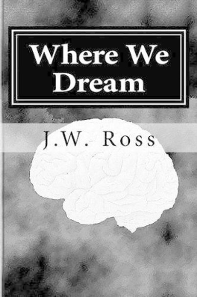 Where We Dream: Damien Black is a young boy who creates a fantasy world around himself to escape his cancer diagnosis. by J W Ross 9781479326389