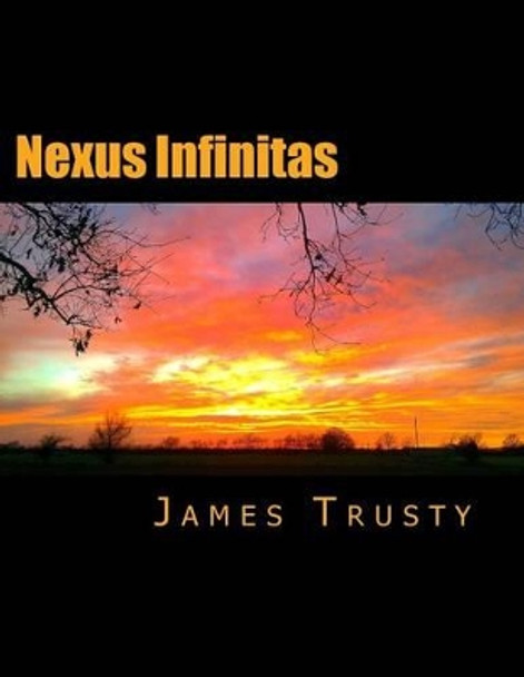 Nexus Infinitas: The Seekers: Between Heaven and Hell by James Howard Trusty 9781481221108