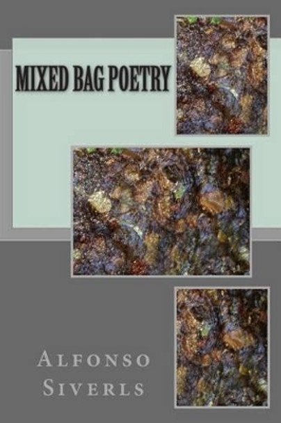 Mixed Bag Poetry by Alfonso E Siverls 9781484035764