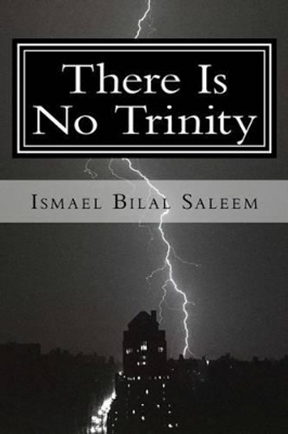 There Is No Trinity by I D Campbell 9781484920251