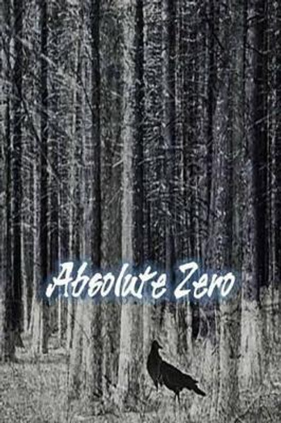 Absolute Zero by Keaton Foster 9781484924761