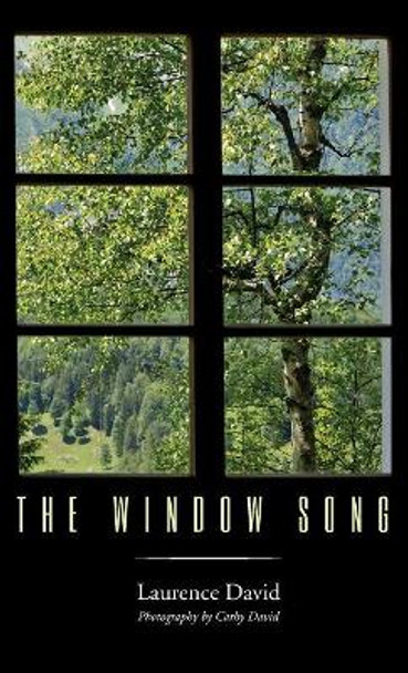 The Window Song by Laurence David 9781498245234