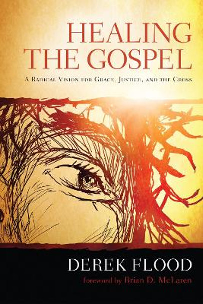 Healing the Gospel by Derek Flood 9781498215282