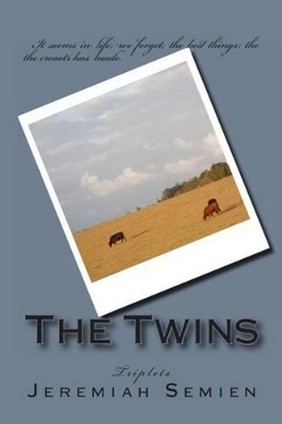 The Twins: Triplets by Jeremiah Semien 9781478298625