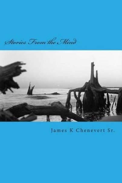 Stories From the Mind: Short Stories by James K Chenevert Sr 9781496093882