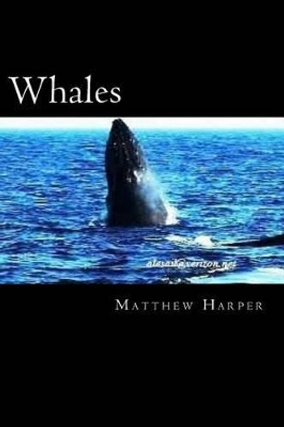 Whales: A Fascinating Book Containing Whale Facts, Trivia, Images & Memory Recall Quiz: Suitable for Adults & Children by Matthew Harper 9781496103215