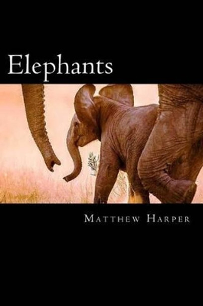 Elephants: A Fascinating Book Containing Elephant Facts, Trivia, Images & Memory Recall Quiz: Suitable for Adults & Children by Matthew Harper 9781497386259