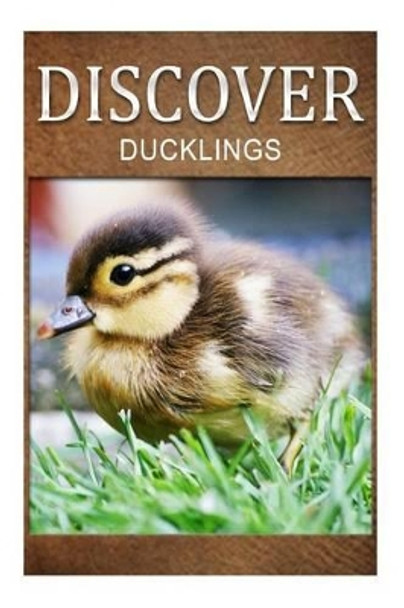 Ducklings - Discover: Early reader's wildlife photography book by Discover Press 9781497507821