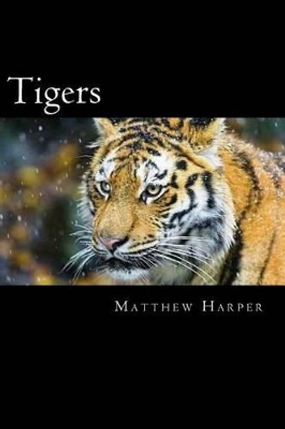 Tigers: A Fascinating Book Containing Tiger Facts, Trivia, Images & Memory Recall Quiz: Suitable for Adults & Children by Matthew Harper 9781500183073