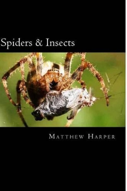 Spiders & Insects: Two Fascinating Books Combined Together Containing Facts, Trivia, Images & Memory Recall Quiz: Suitable for Adults & Children by Matthew Harper 9781500495893