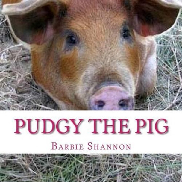 Pudgy The Pig by Barbie Shannon 9781492192336