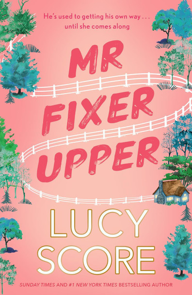 Mr Fixer Upper: the new romance from the bestselling Tiktok sensation! by Lucy Score 9781399735513