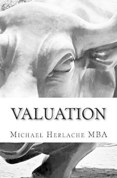 Valuation by Michael Herlache 9781502946744