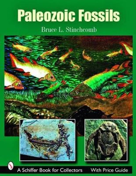 Paleozoic Fsils  Firm by Bruce L. Stinchcomb