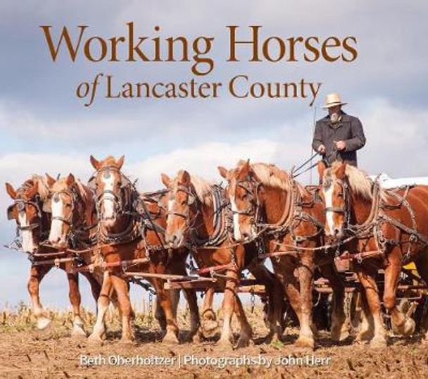 Working Horses of Lancaster County Beth Oberholtzer 9780764361616