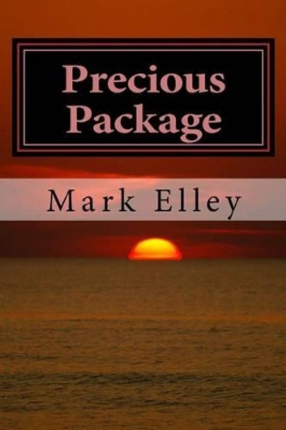 Precious Package: A John Doyle Mystery by Mark Elley 9781508720287